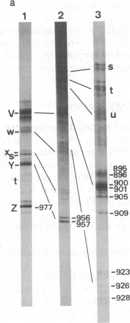 graphic file with name pnas00624-0143-b.jpg