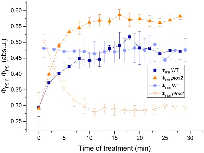 Figure 5.