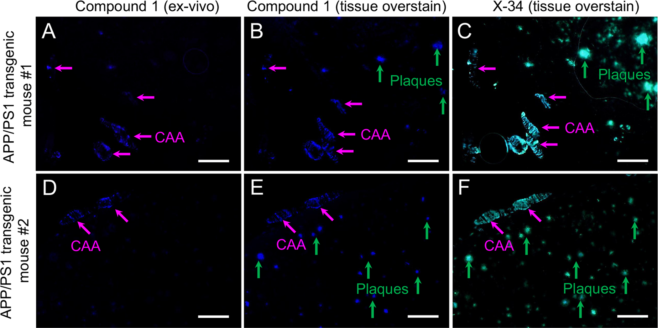 Fig. 4.