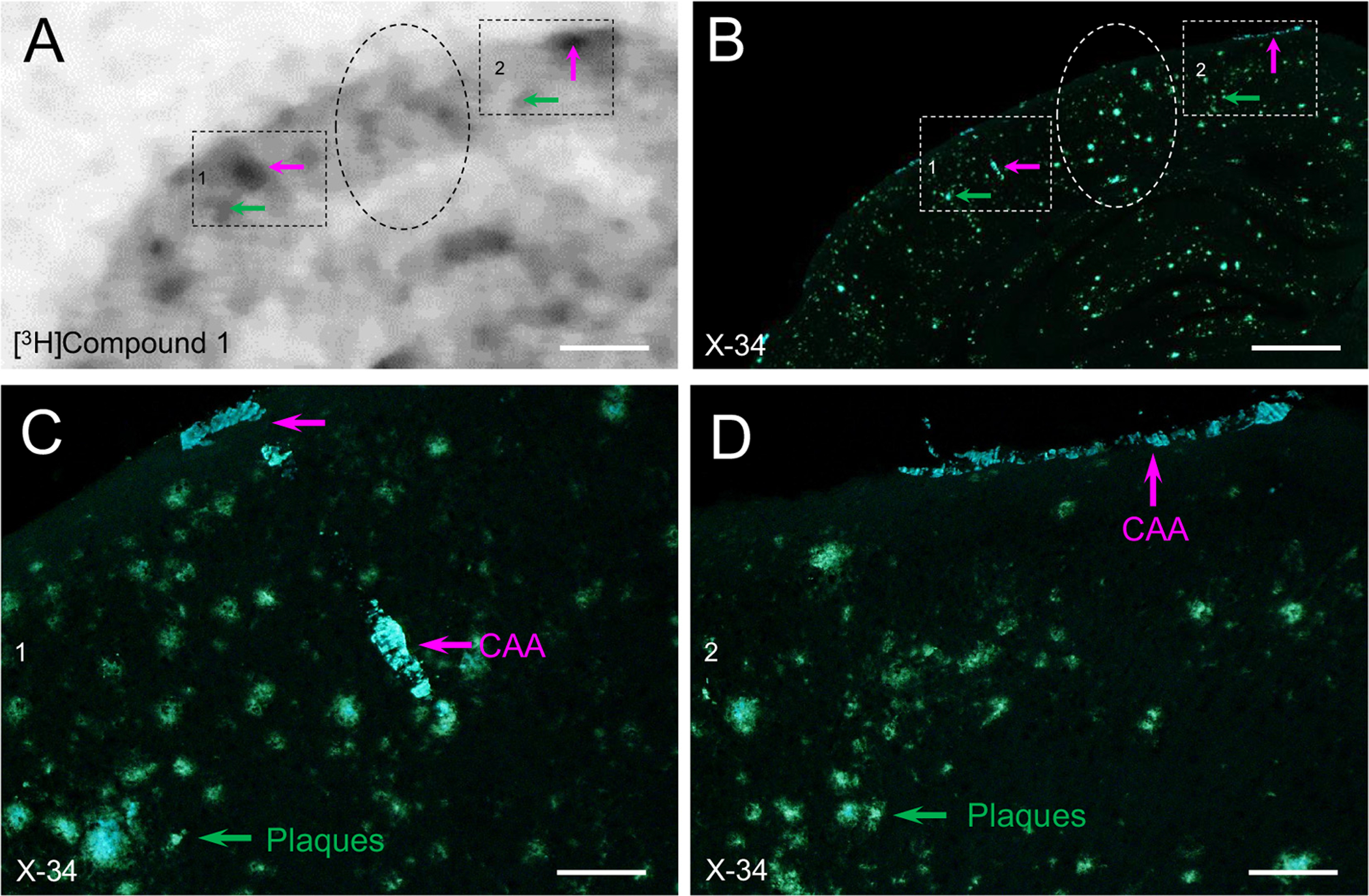 Fig. 7.