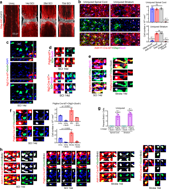 Extended Data Fig. 1