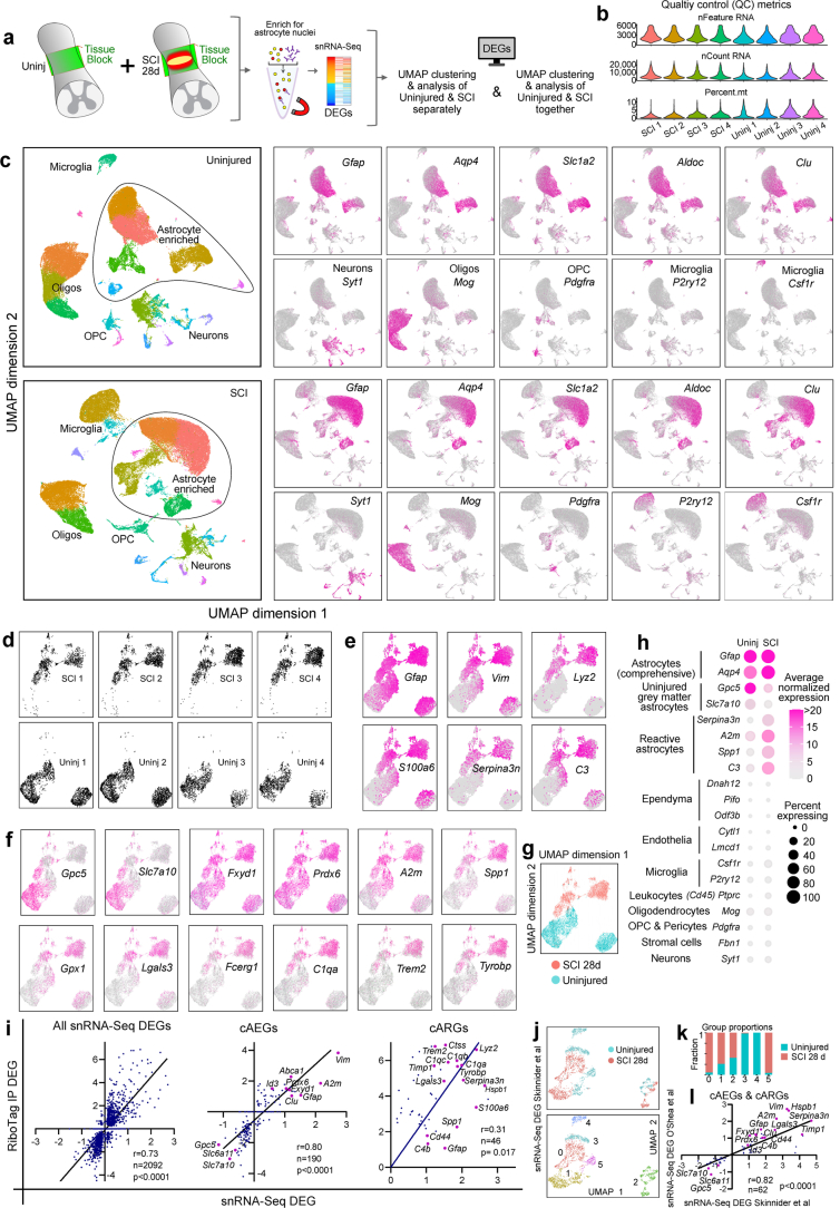 Extended Data Fig. 8