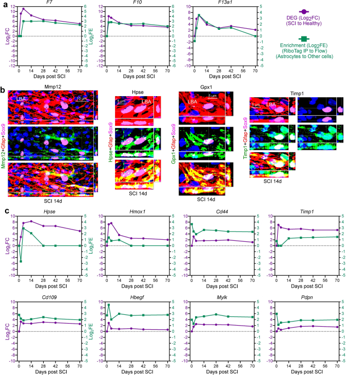 Extended Data Fig. 6