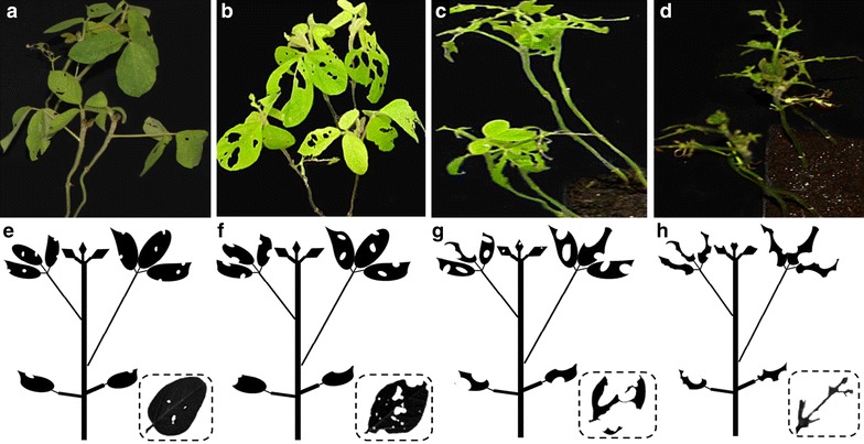 Fig. 2