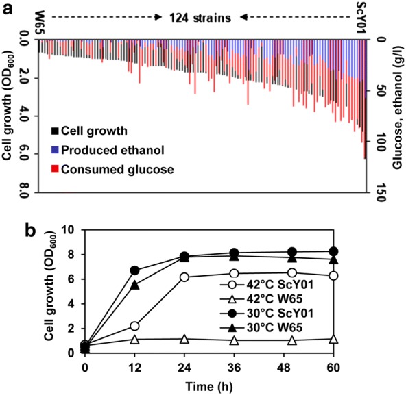 Fig. 2