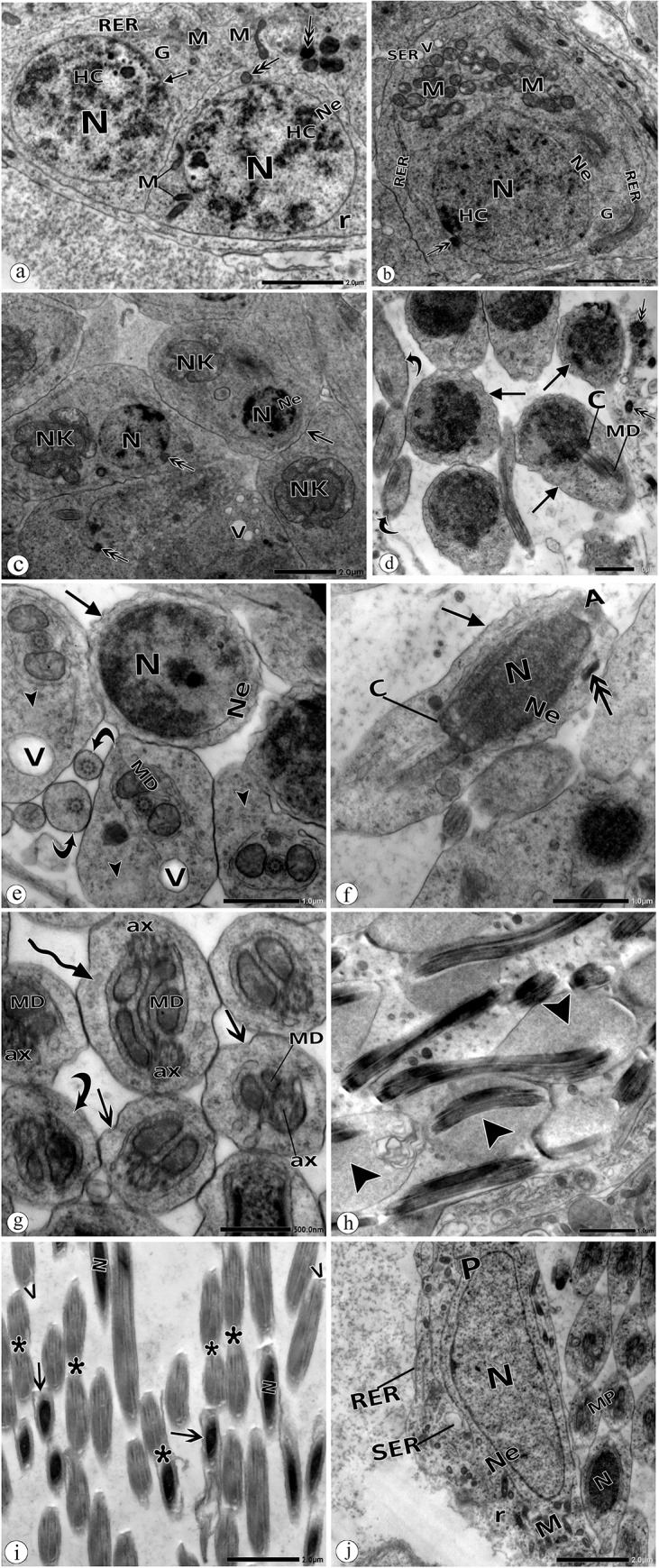 Fig 6