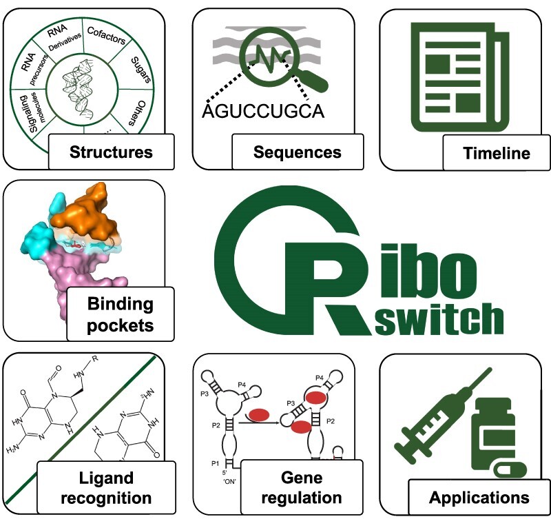 Graphical Abstract