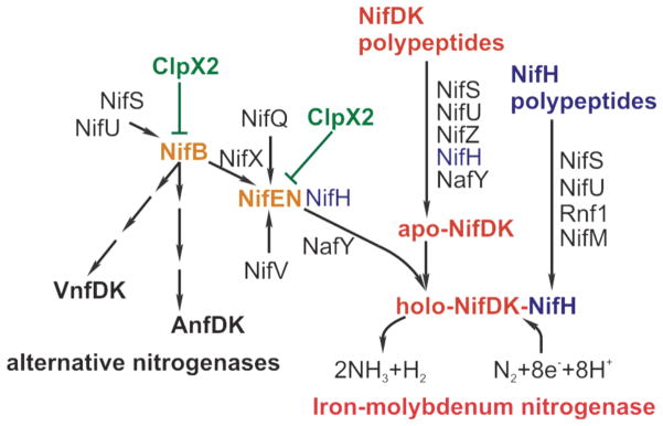 Fig. 10