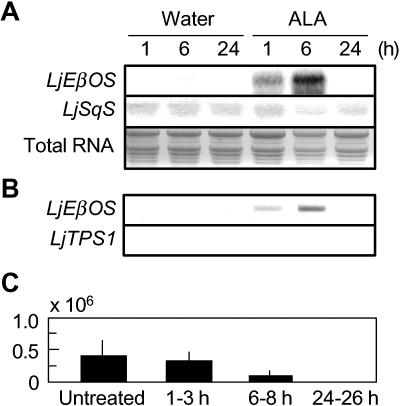 Figure 5.