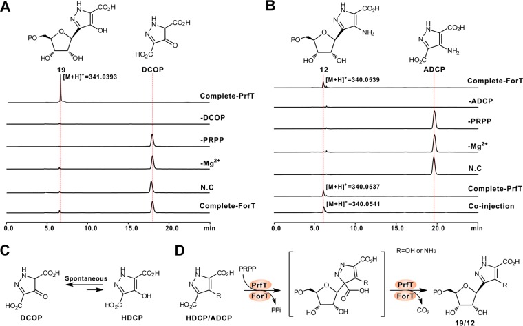 FIG 5