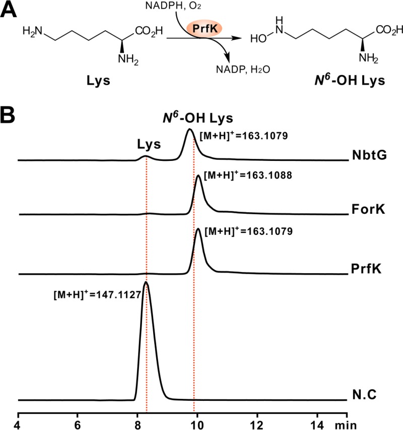 FIG 3