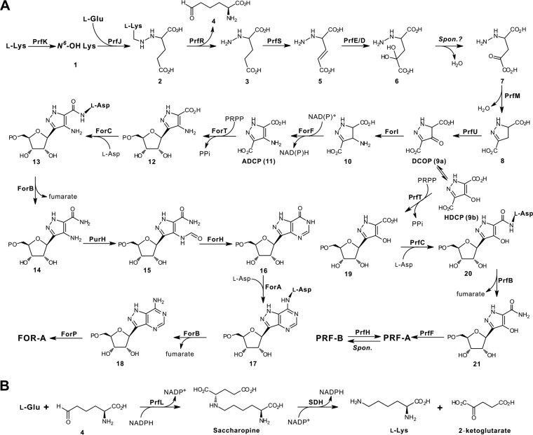 FIG 6