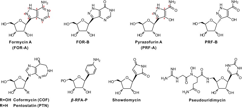 FIG 1