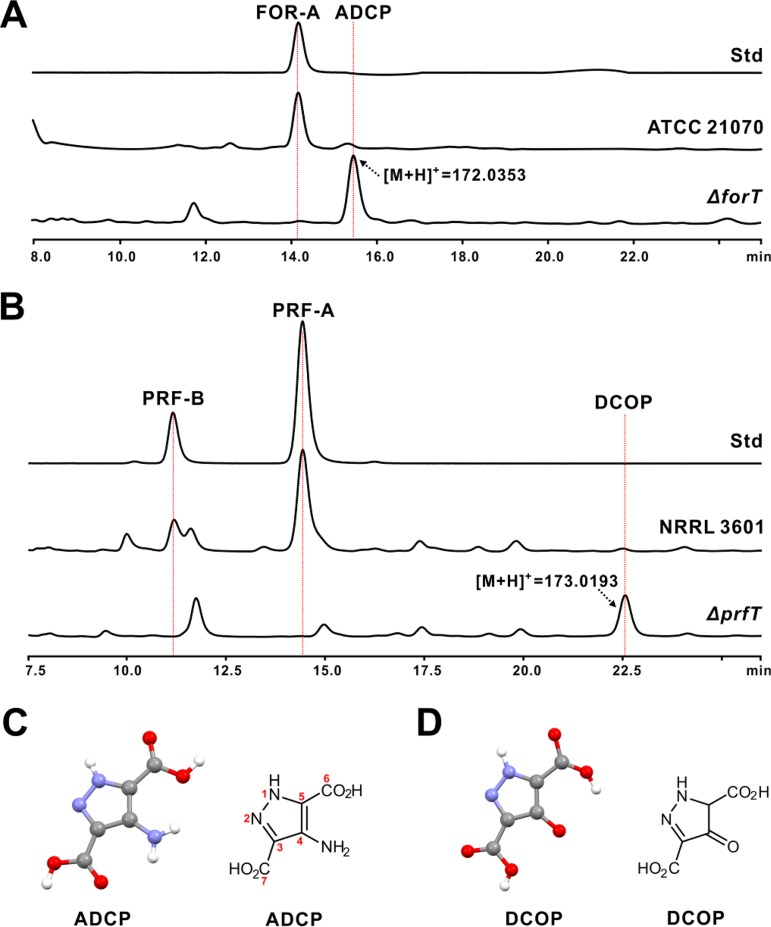 FIG 4