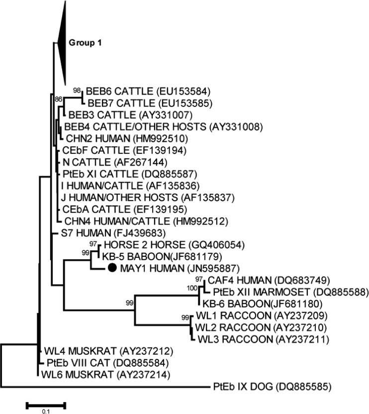 Fig 1