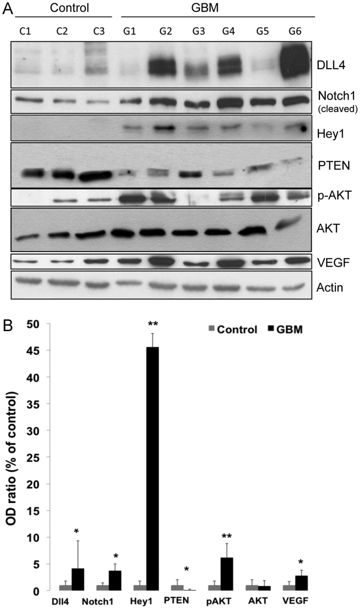 Fig. 2.