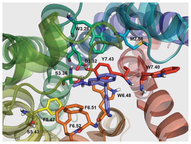 FIGURE 6