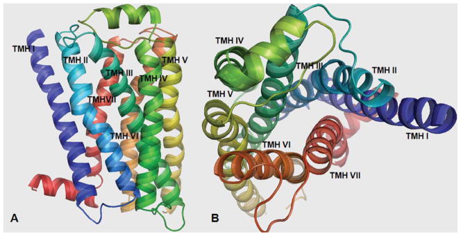 FIGURE 2