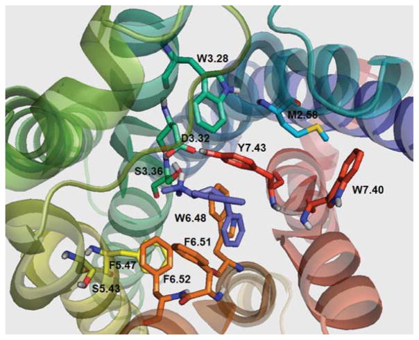 FIGURE 5