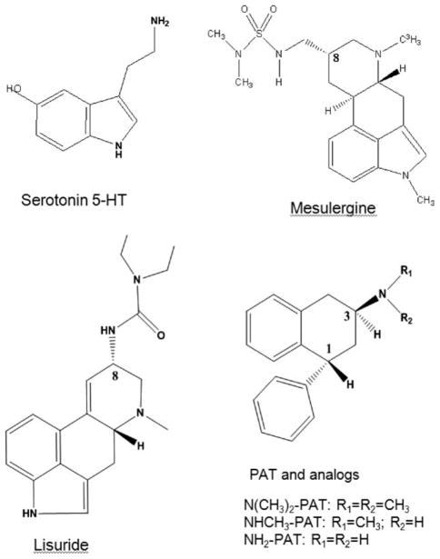 FIGURE 1