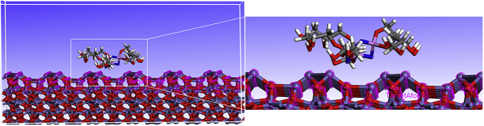 Fig. 10