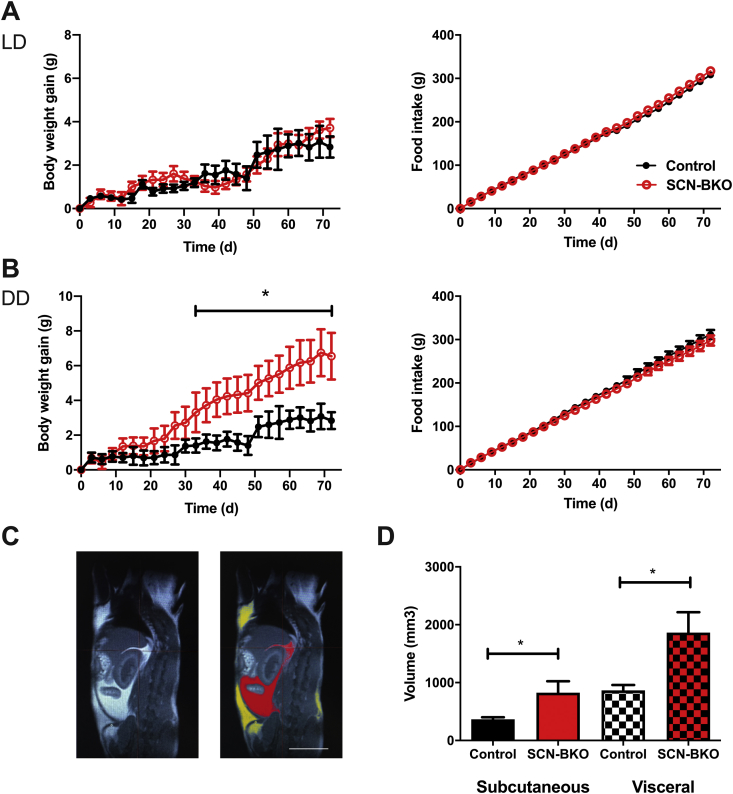 Figure 4