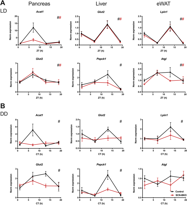 Figure 3