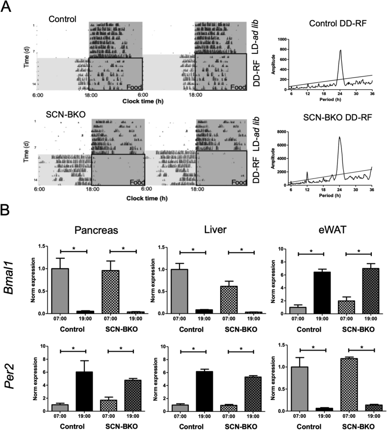 Figure 6