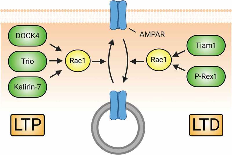 Figure 5.