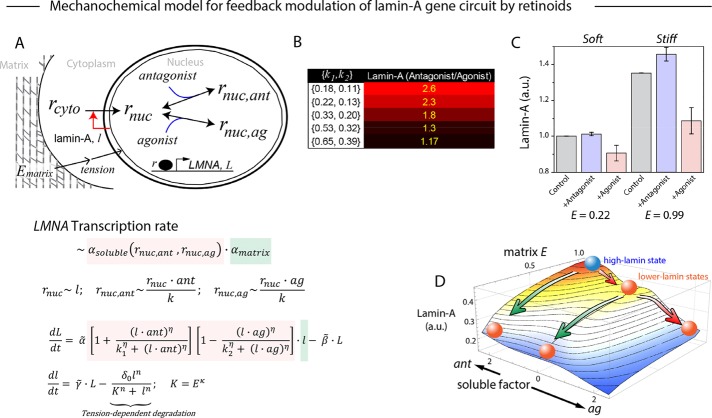 FIGURE 6: