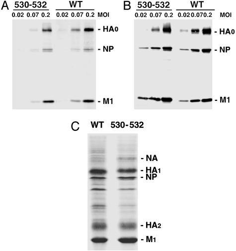 Fig. 6.