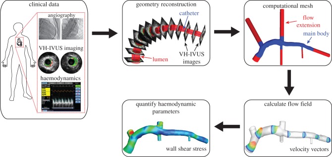 Figure 1.