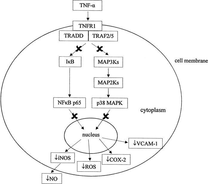 Fig. 5