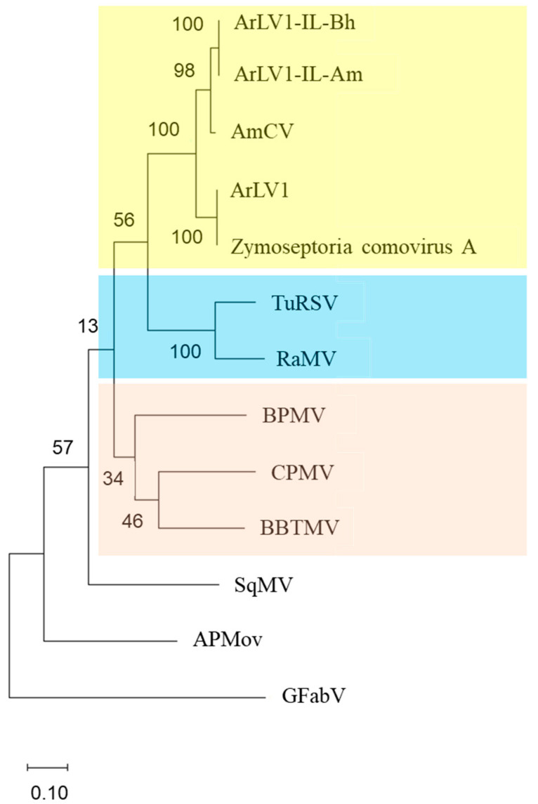 Figure 6