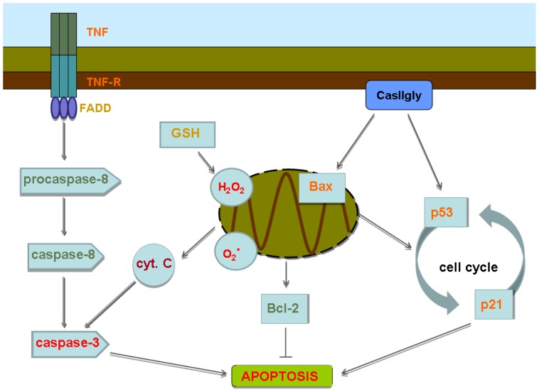 Figure 14