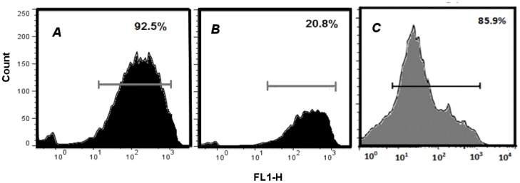 Figure 9