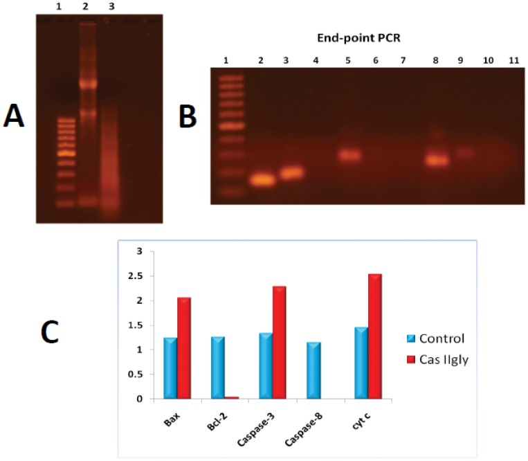 Figure 13