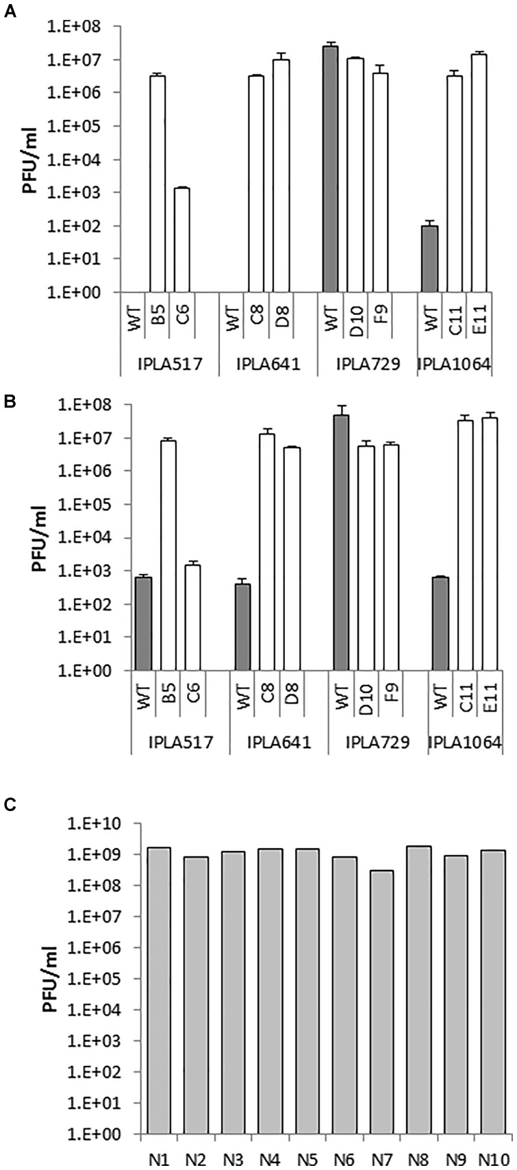 FIGURE 4