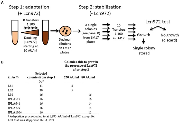 FIGURE 1