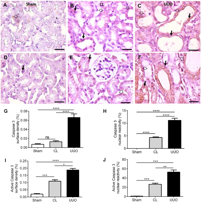 Fig 13