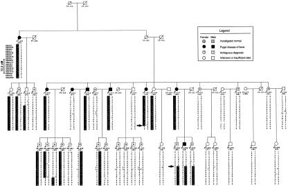 Figure  5