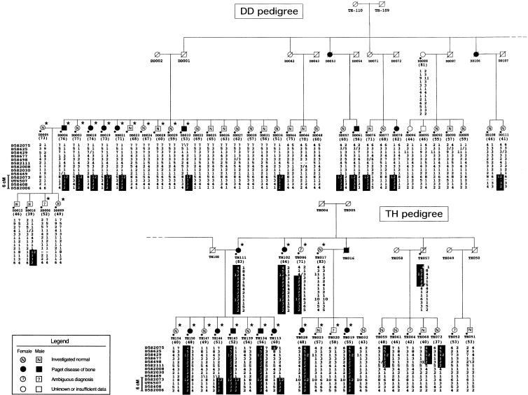 Figure  1