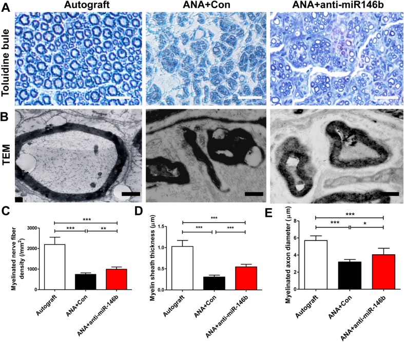 Fig. 11