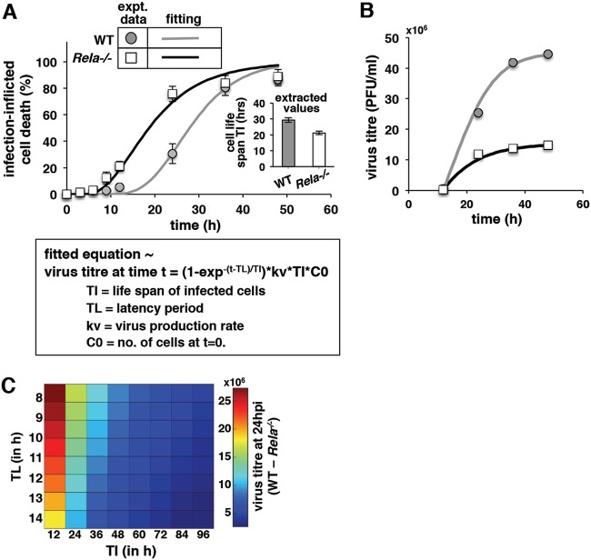 FIG 6