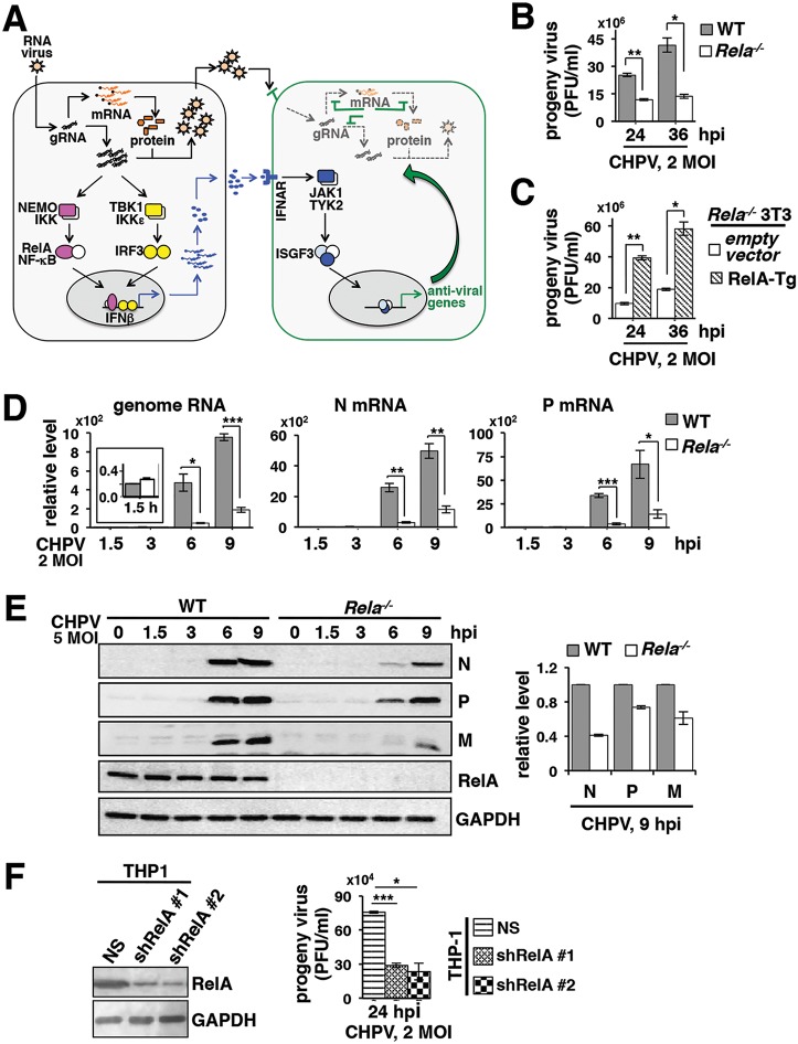 FIG 1