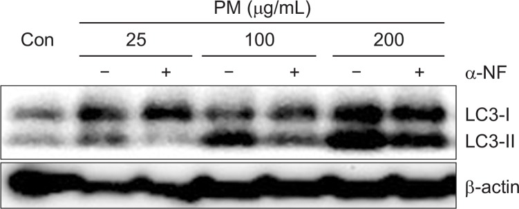 Fig. 9.