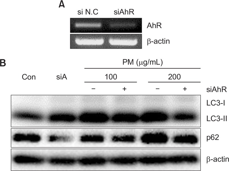 Fig. 10.