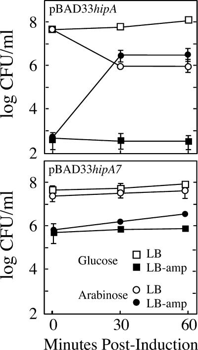 FIG. 8.