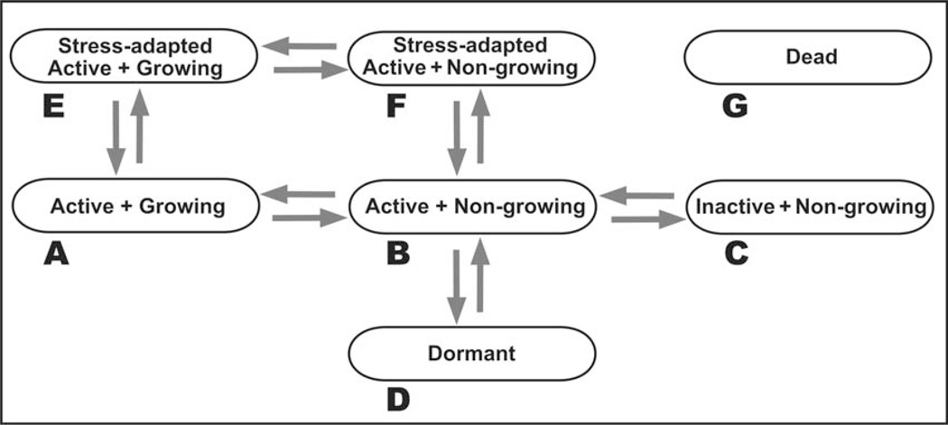 FIGURE 13