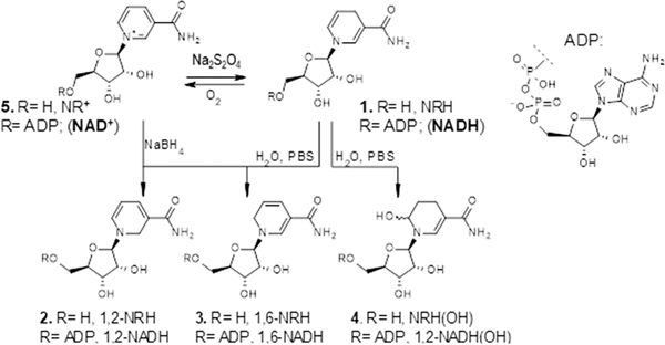 Figure 2.